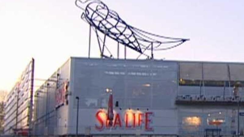 Sealife Oberhausen VOX Menschen, Tiere & Doktoren: Sealife-Aquarium