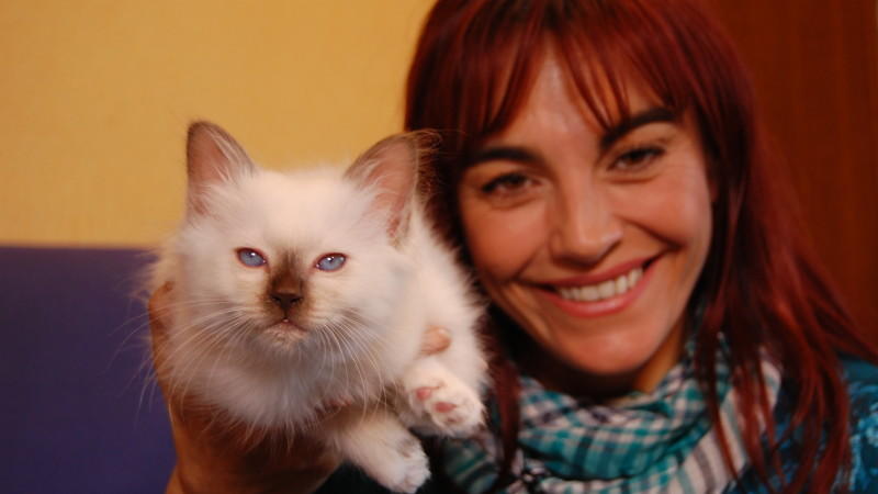 Diana Eichhorn entdeckt die Welt der Heiligen Birma hundkatzemaus-Reporterin Diana Eichhorn und Heilige Birma