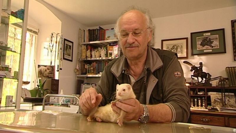 Dr. Wolfs Sprechstunde VOX hundkatzemaus: Dr Wolfs Sprechstunde