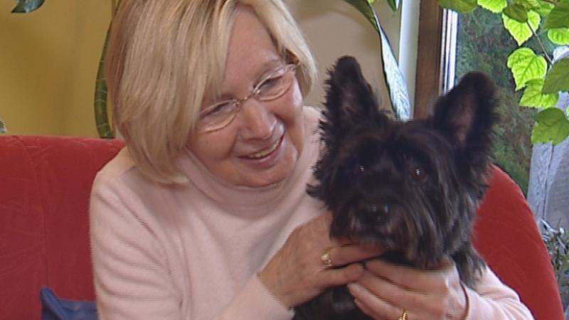 Tieranwalt Joachim Cäsar-Preller VOX hundkatzemaus: Streitfall Hund