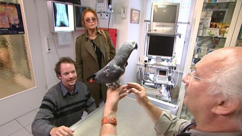 Dr. Wolfs Sprechstunde hundkatzemaus Tierarzt Dr. Wolf