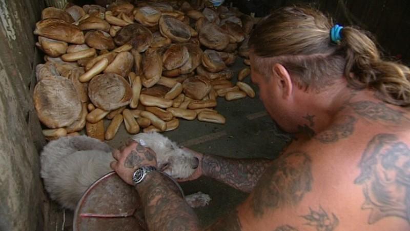 hundkatzemaus Serie Teil 5 Ralf Seeger