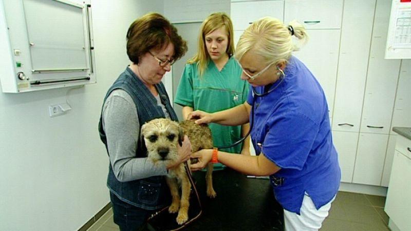 Tierklinik Isernhagen Tierklinik Isernhagen