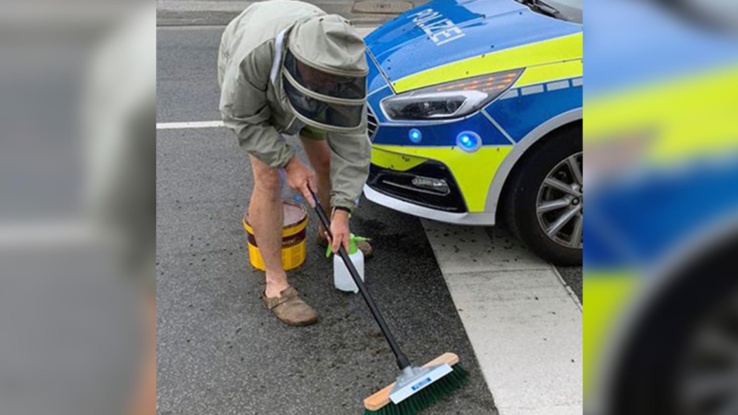 Köln: 15.000 Bienen verirren sich auf Straße Polizei Köln sperrt Straße. Imker rettet Bienenvolk.