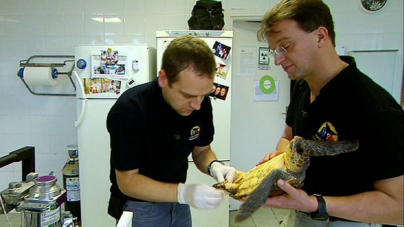 Loro Parque Menschen, Tiere & Doktoren