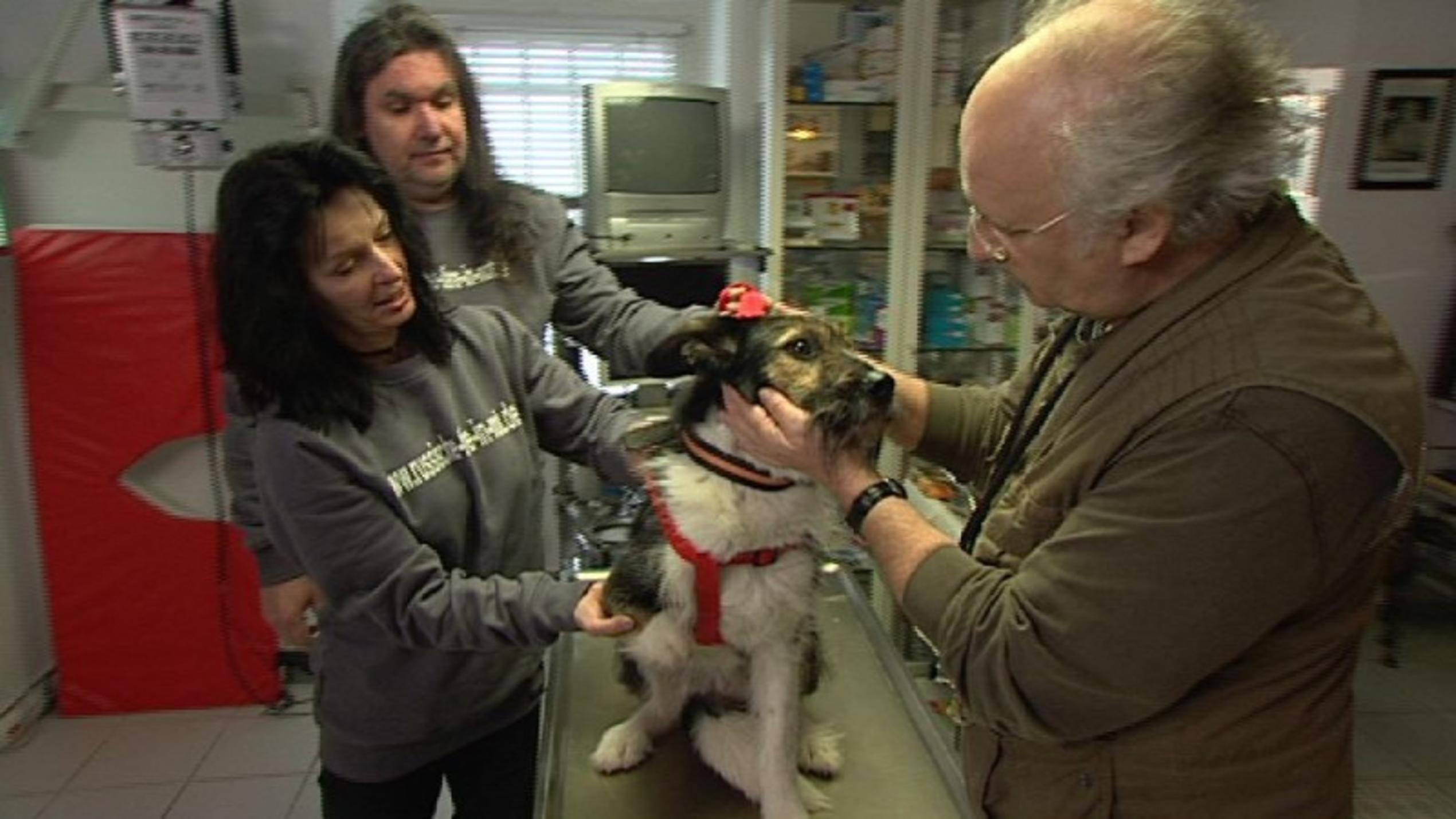 Dr. Wolfs Sprechstunde Dr. Wolf