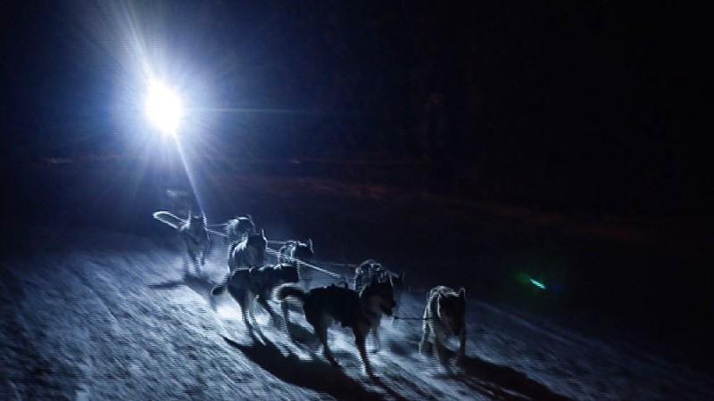 hundkatzemaus-Serie Teil 4 Kalte Schnauzen - gemeinsam durch Eis & Schnee