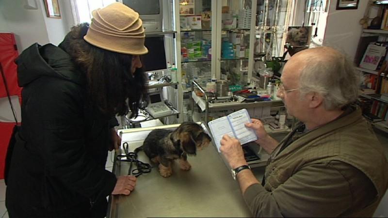 Dr. Wolfs Sprechstunde Dr. Wolf
