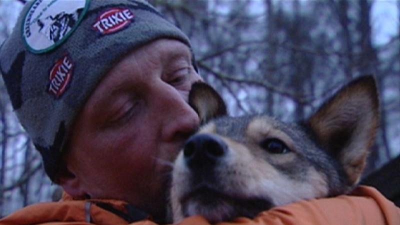 hundkatzemaus-Serie Teil 7 Volker Ebertshäuser