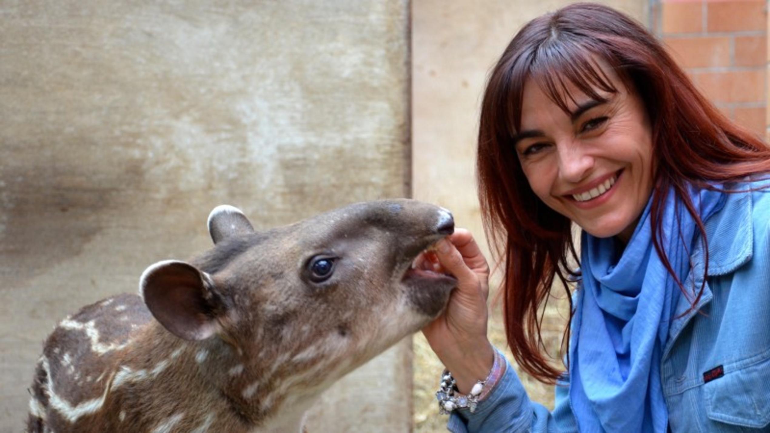 Tierschützer engagieren sich für Streunerkatzen hundkatzemaus-Reporterin Diana Eichhorn und das Tapirbaby Luara.