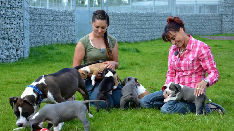 Diana Eichhorn im Tierheim Berlin hundkatzemaus-Reporterin Diana Eichhorn informiert über ein Präventionsprogramm im Tierheim Berlin.