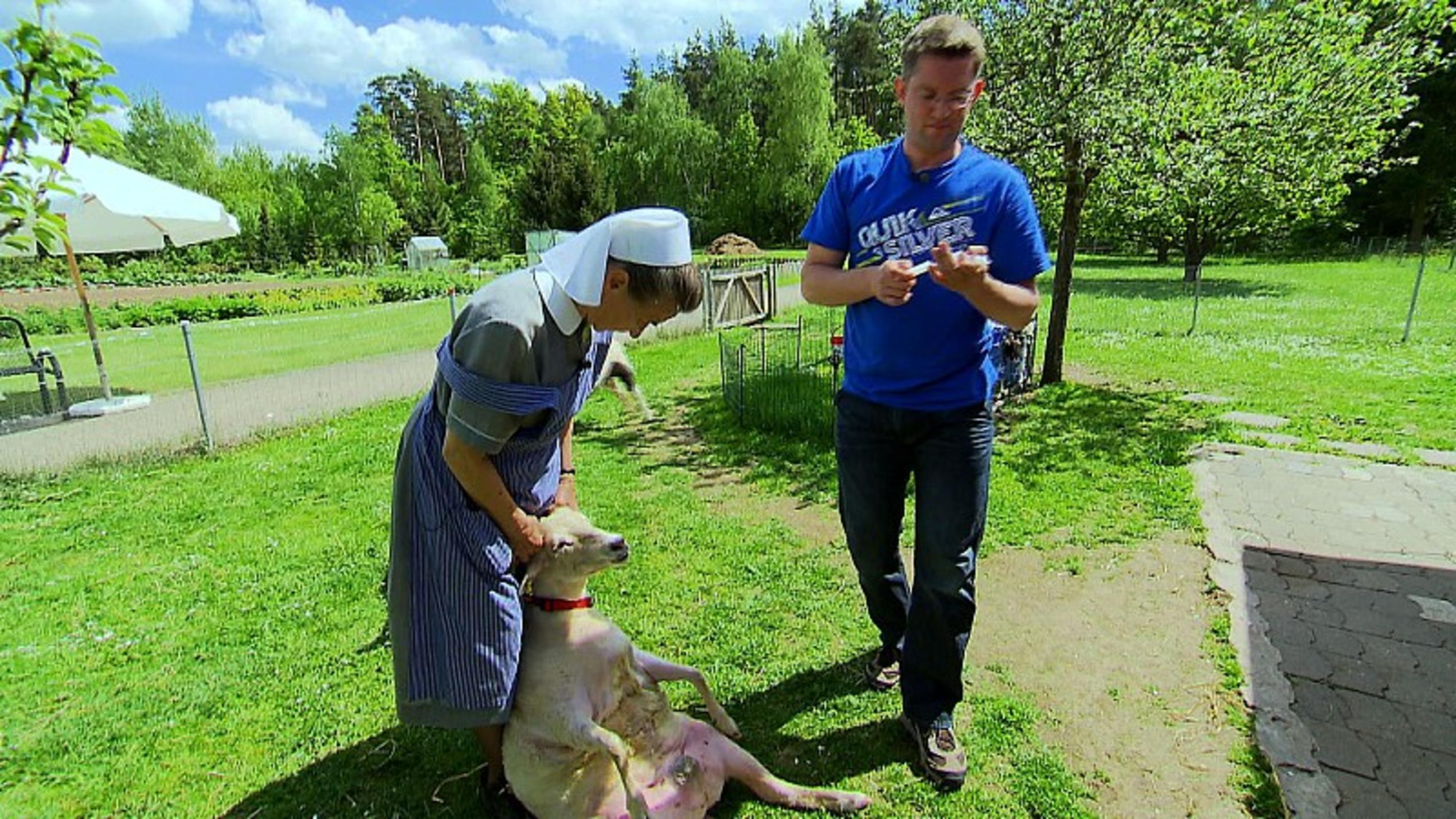 Landtierarzt Dr. Björn Seelig Landtierarzt Dr. Björn Seelig