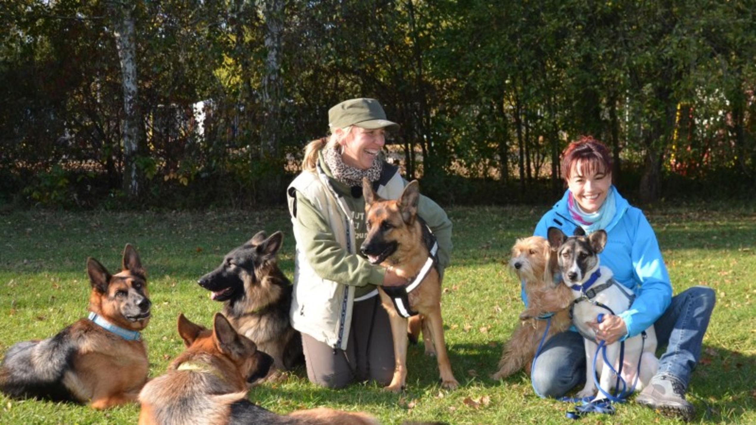 Der Zweithund - Ein tierisches Duo hundkatzemaus-Reporterin Diana Eichhorn trifft eine Hundetrainerin und erfährt, wie Zweithunde integriert werden.