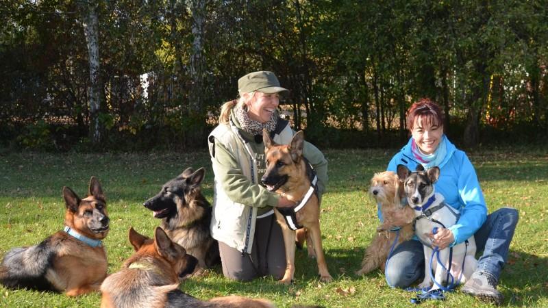 Der Zweithund - Ein tierisches Duo hundkatzemaus-Reporterin Diana Eichhorn trifft eine Hundetrainerin und erfährt, wie Zweithunde integriert werden.