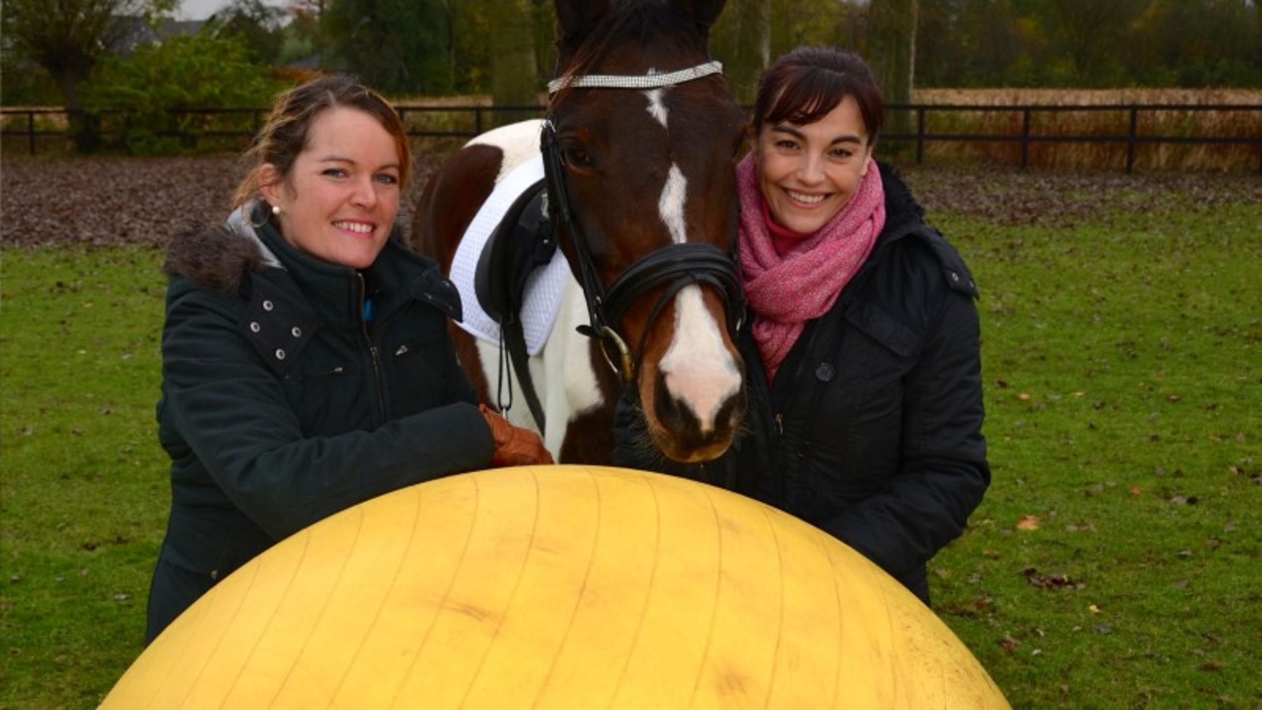 König Pushball regiert das Feld hundkatzemaus-Reporterin Diana Eichhorn möchte mehr über die Sportart Pushball erfahren.