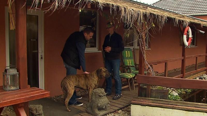 Hamsterkäufe kritisch hinterfragen! Tieranwalt Joachim Cäsar-Prellers neuer Fall: Lärmbelästigung durch bellende Hunde. Was sagt das Gesetz?
