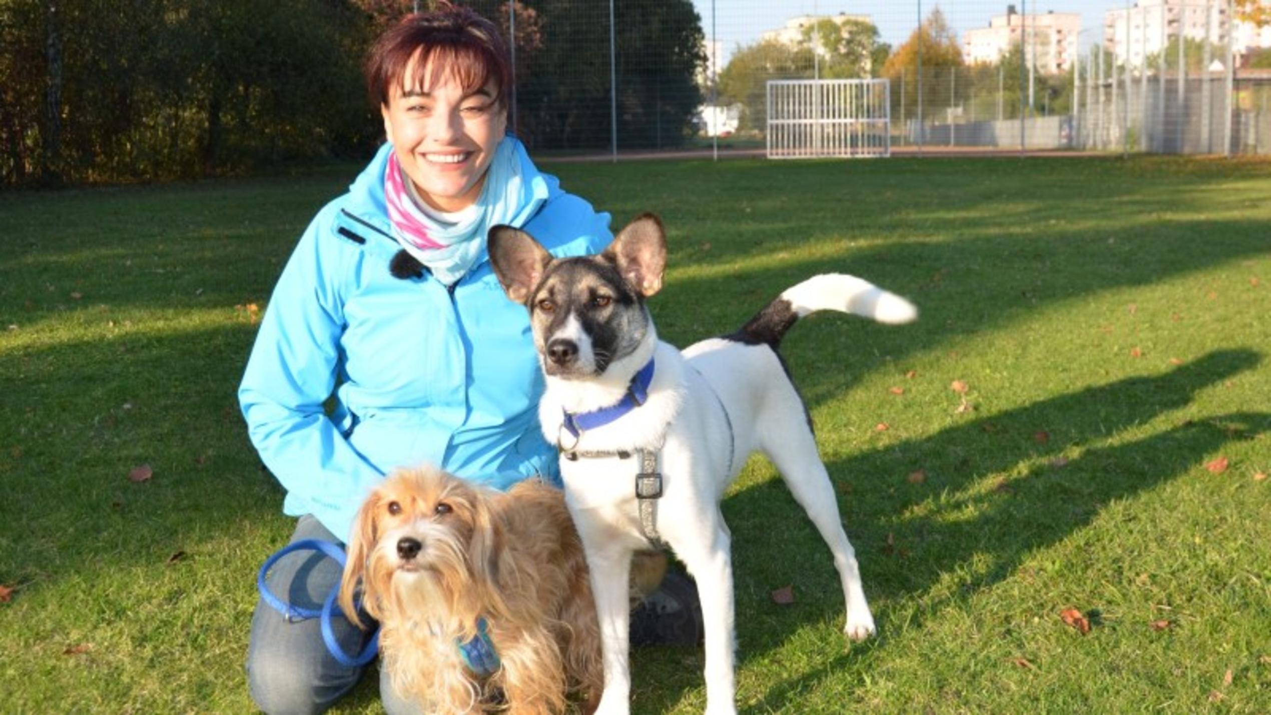 Rüde Nico sucht ein Zuhause Auch Diana Eichhorn wäre froh, wenn Rüde Nico bald ein schönes, neues Zuhause finden würde.