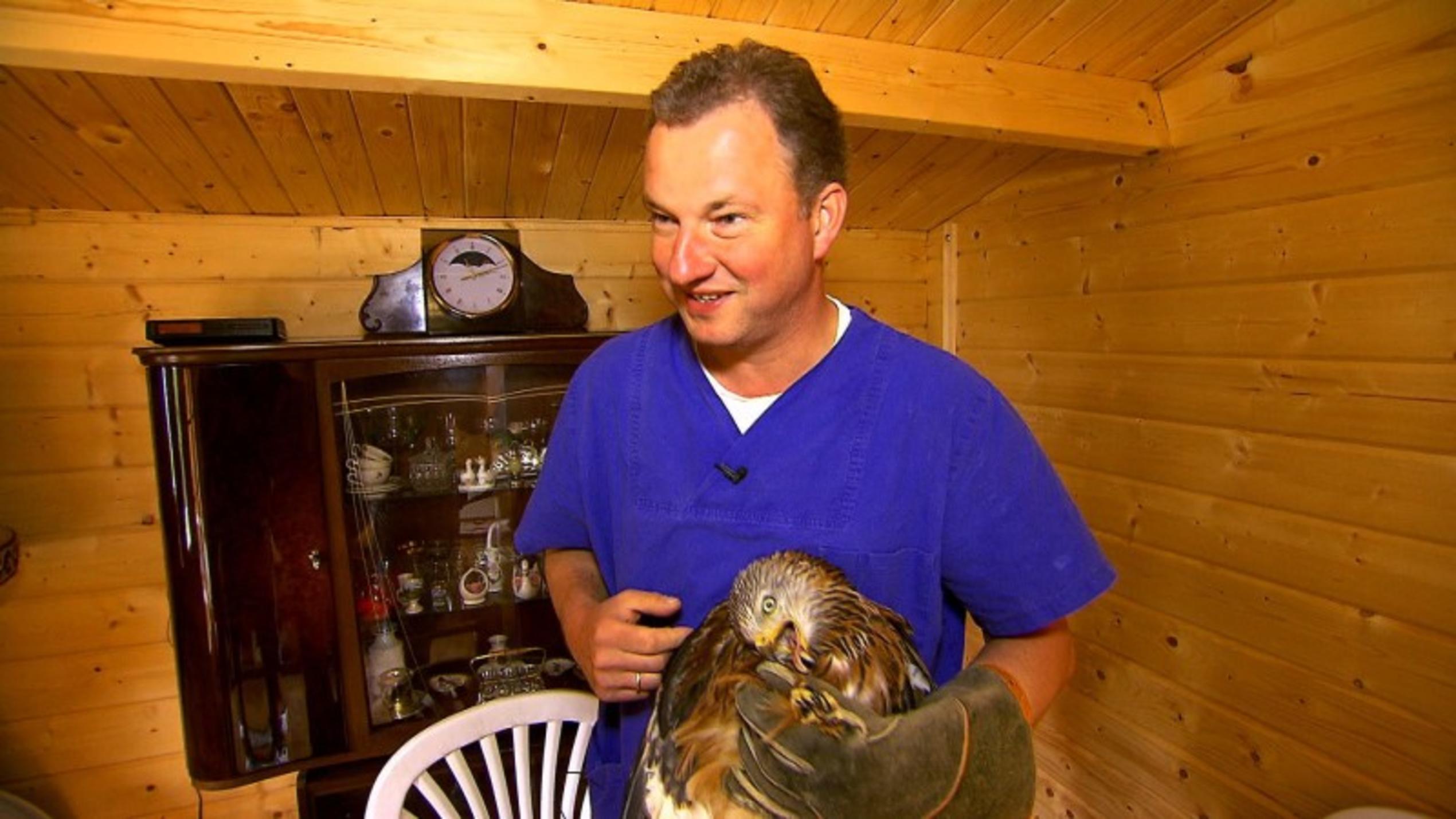 Ein Greifvogel ist flugunfähig Tierarzt Ralf Schweda behandelt diesmal einen verletzten Greifvogel.