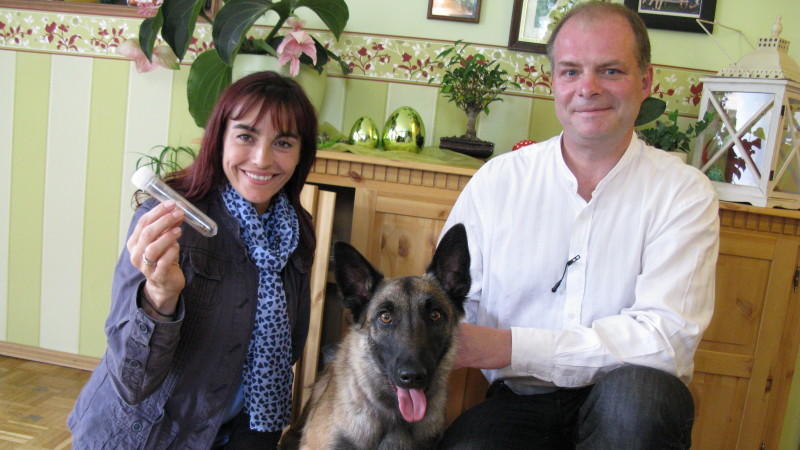 Sally hat die Nase vorn - Schimmelspürhunde im Einsatz hundkatzemaus-Reporterin Diana Eichhorn begleitet Malinois-Hündin