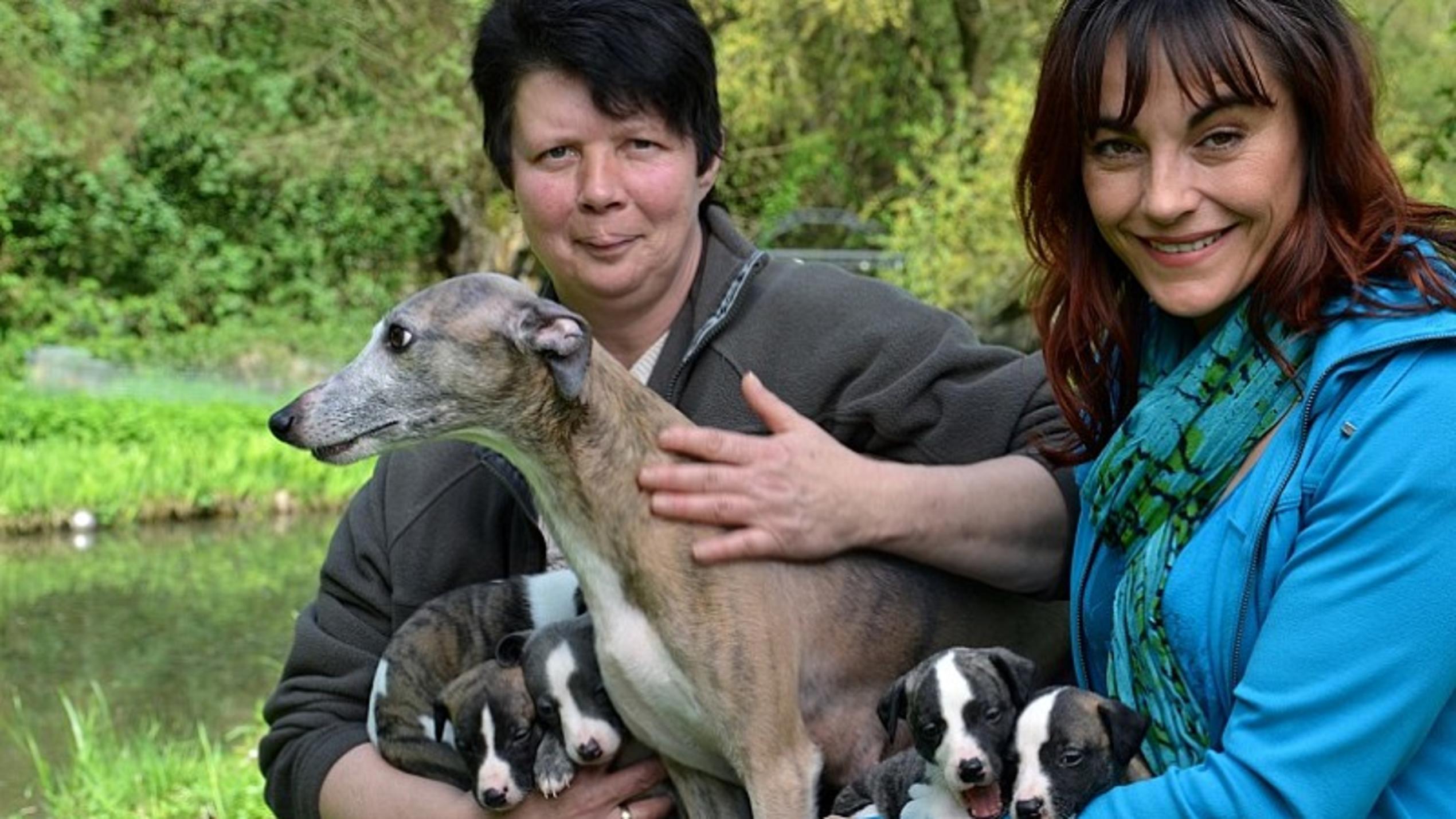 Von Beruf Hundehebamme hundekatzemaus Diana Eichhorn besucht Hundehebamme