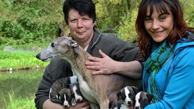 Von Beruf Hundehebamme hundekatzemaus Diana Eichhorn besucht Hundehebamme