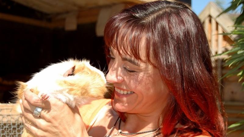 Meerschweinchen hundkatzemaus Diana Eichhorn Meerschweinchen