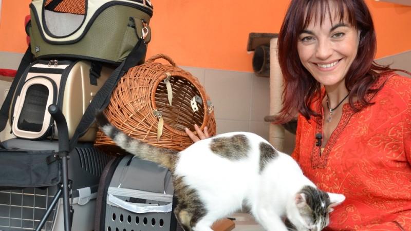 Katzentransportboxen - Der große hundkatzemaus-Test hundkatzmaus Diana Eichhorn testet Katzentransportboxen