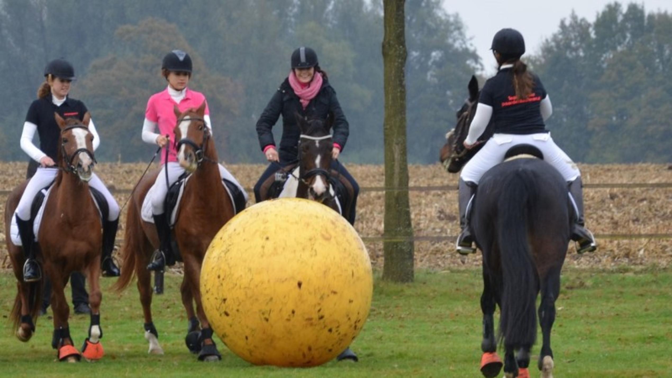 Vorschau hundkatzemaus Diana Eichhorn Pushball
