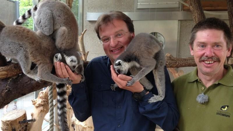 Tierischer Nachwuchs im Zoo hundkatzemaus Tierischer Nachwuchs im Zoo