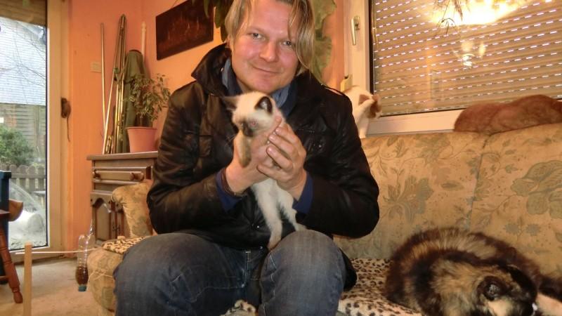 Katzen in Not - Vierbeiner suchen neues Zuhause! hundkatzemaus Frank Weber Katzen in Not