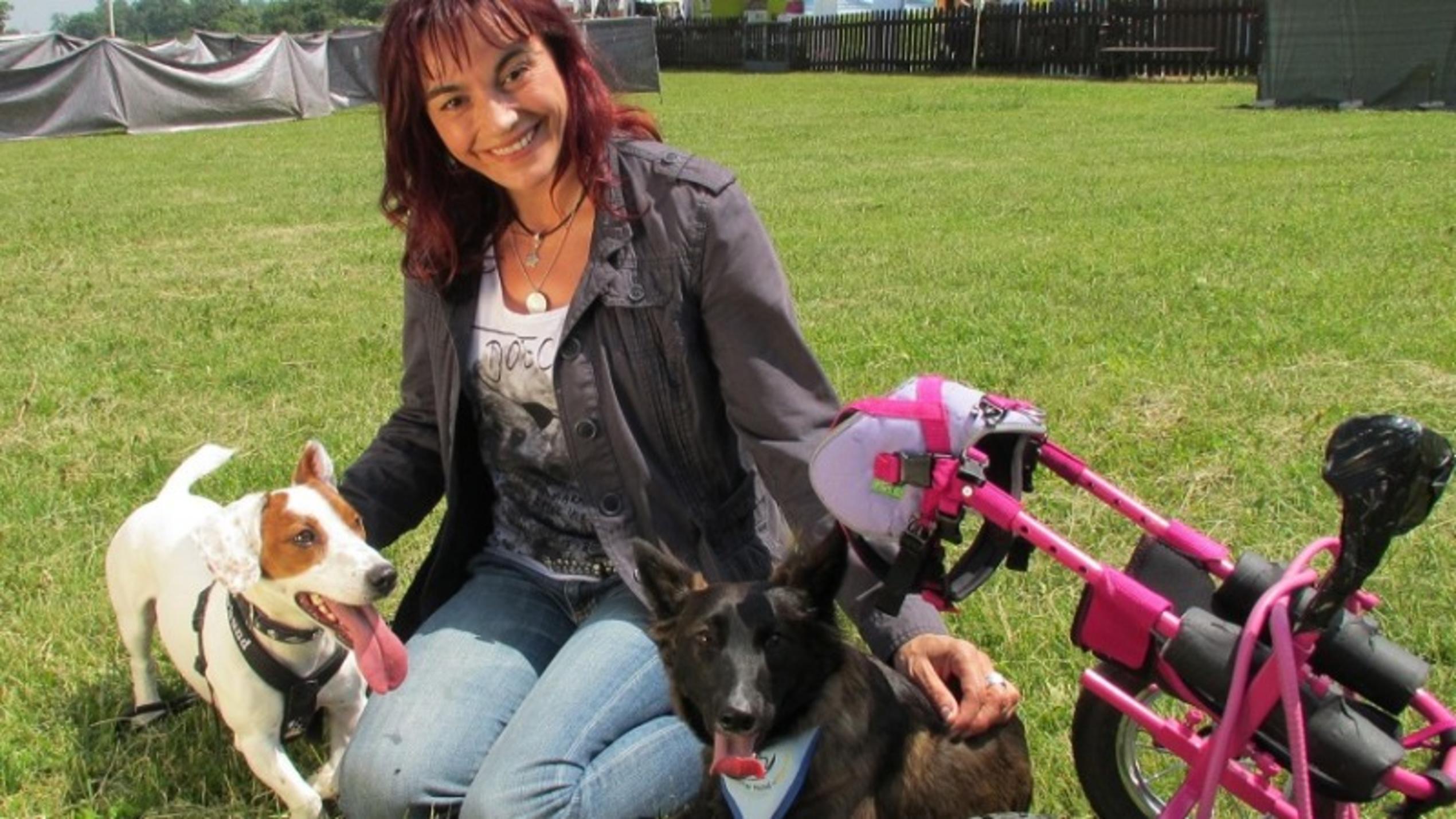 Vorschau hundkatzemaus Diana Eichhorn Hunde-Paralympix