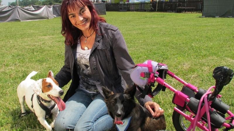 Vorschau hundkatzemaus Diana Eichhorn Hunde-Paralympix