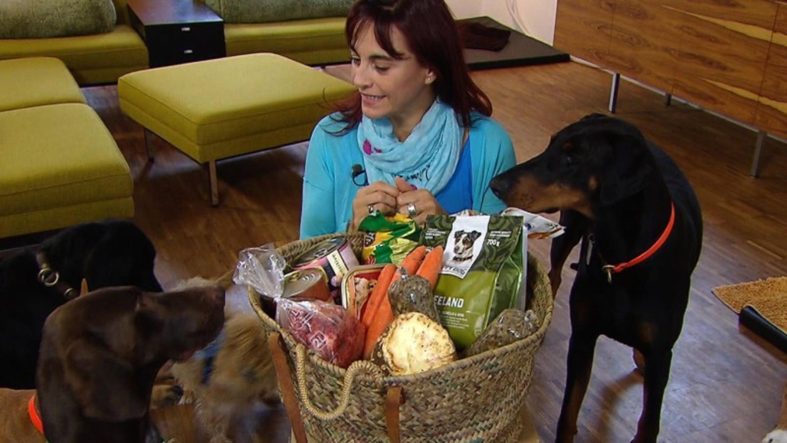 Ernährungsmythen für Hunde auf dem Prüfstand hundkatzemaus Diana Eichhorn Ernährungsmythen