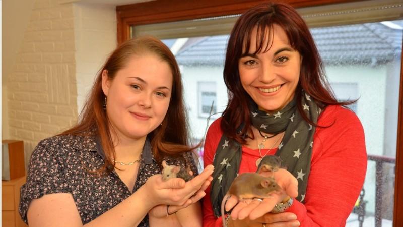 Farbmäuse artgerecht halten hundkatzemaus Diana Eichhorn und Farbmäuse