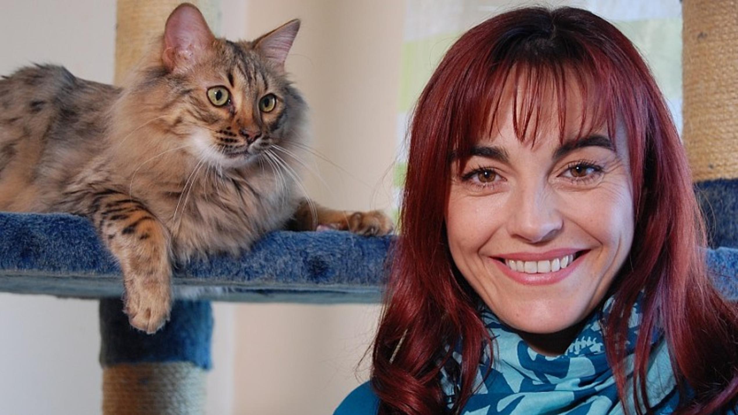 Die Cashmere-Katze hundkatzemaus Diana Eichhorn Cashmere Katzen
