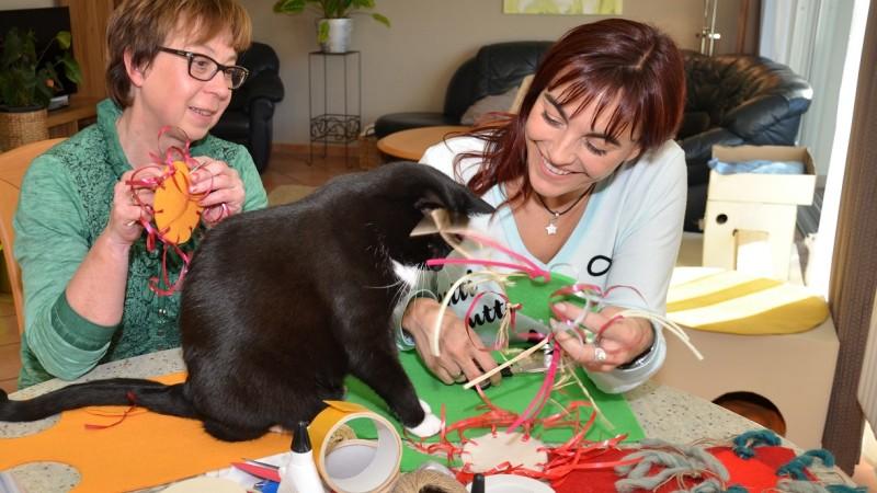 Vorschau hundkatzemaus Diana Eichhorn Katzenspielzeug