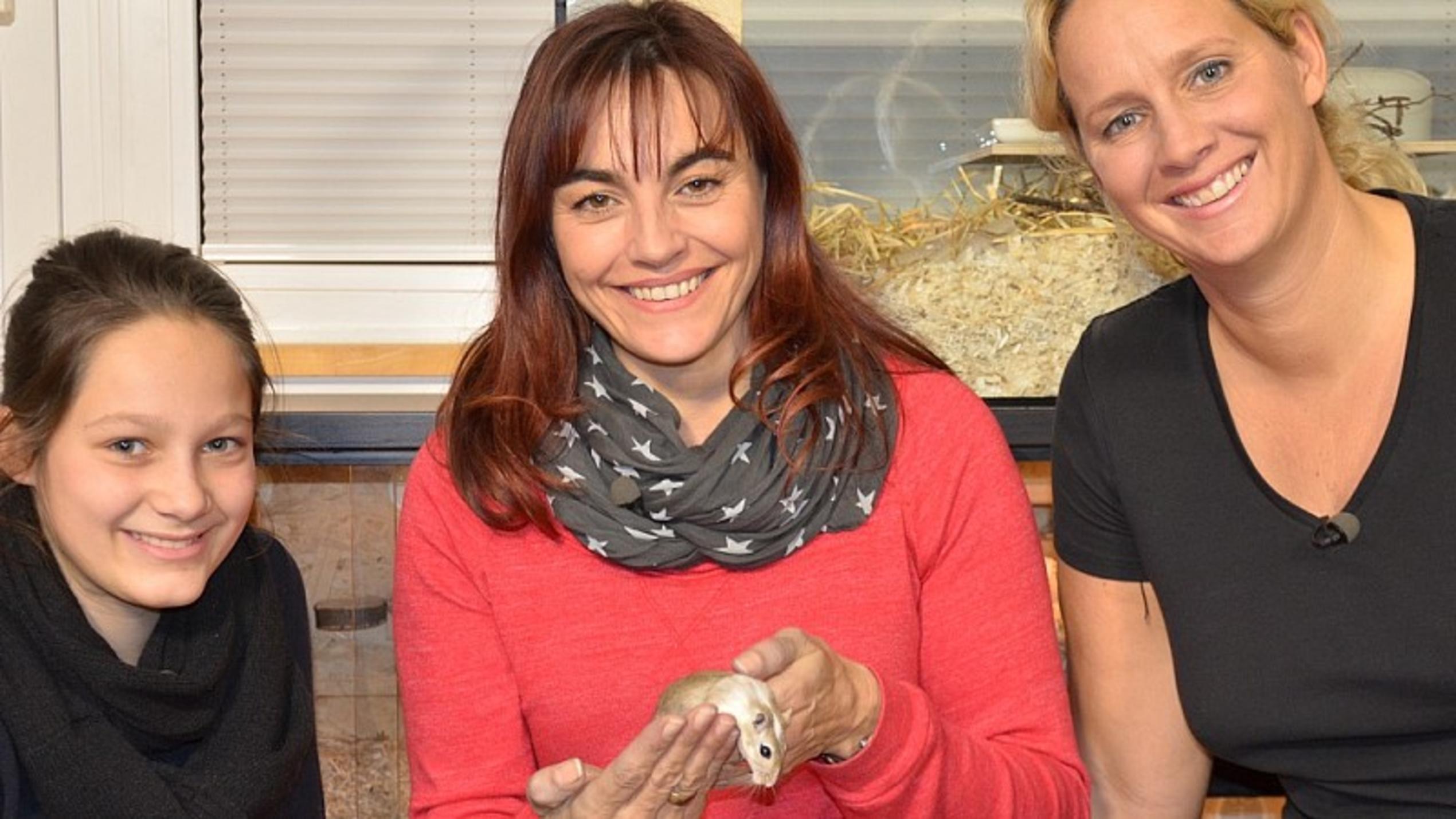 Rennmäuse hundkatzemaus Diana Eichhorn Rennmäuse