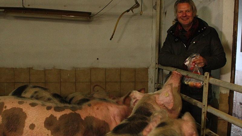 Schweinemast - Was ist ein Leben wert? hundkatzemaus Frank Weber Schweinemast