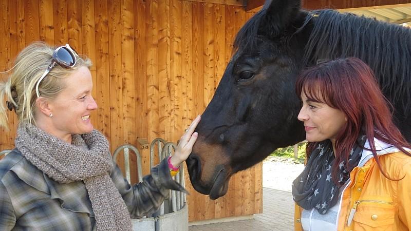 Vorschau hundkatzemaus Diana Eichhorn Pferdeaktivstall