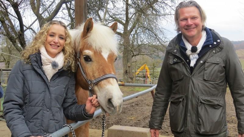 Haflinger Heiko hat Arthrose hundkatzemaus Frank Weber Haflinger Heiko