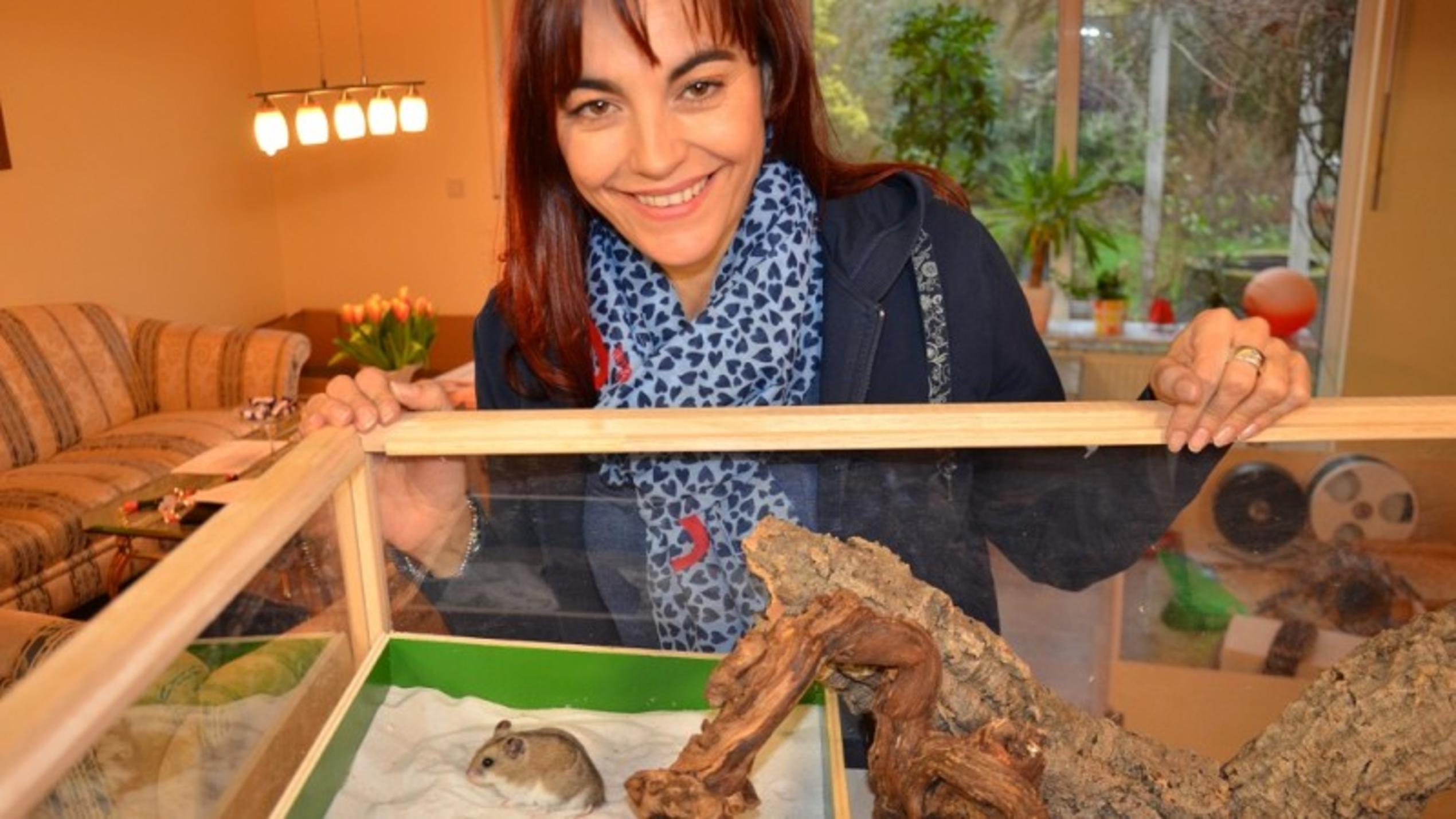 Chinesische Streifenhamster hundkatzemaus Diana Eichhorn Chinesischer Streifenhamster