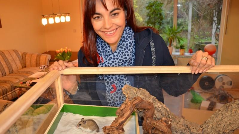 Chinesische Streifenhamster hundkatzemaus Diana Eichhorn Chinesischer Streifenhamster