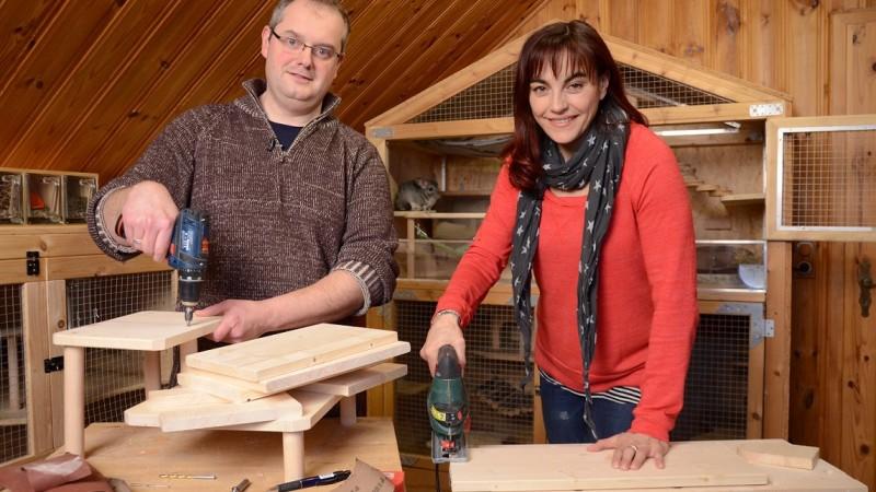 Vorschau hundkatzemaus Diana Eichhorn Heimwerken Chincilla
