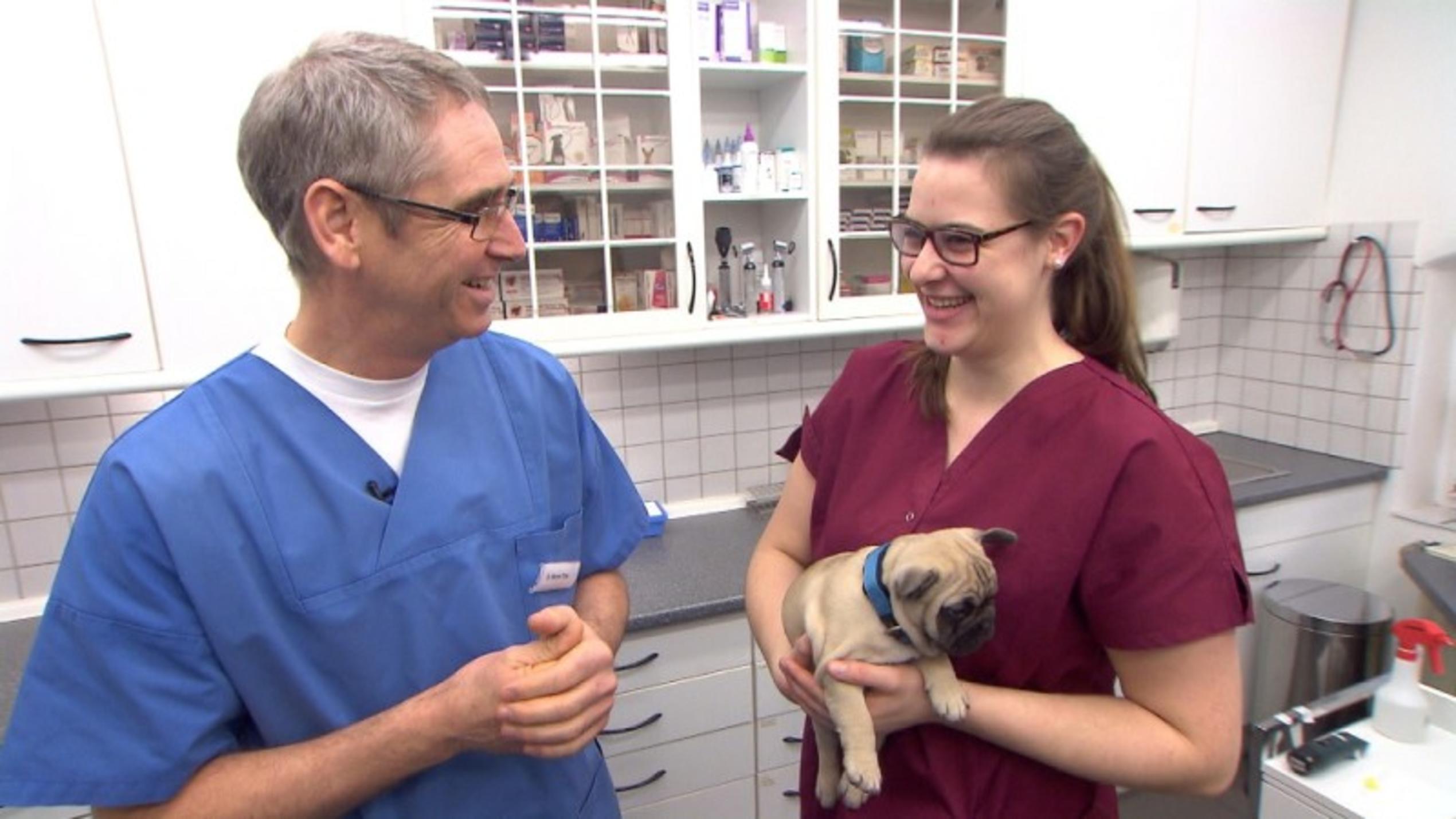 Vorschau hundkatzemaus Mini Serie Die Tierklinik