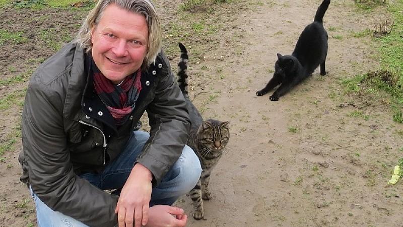 Katzen auf Rügen in Not! hundkatzemaus Frank Weber Katzennot auf Rügen