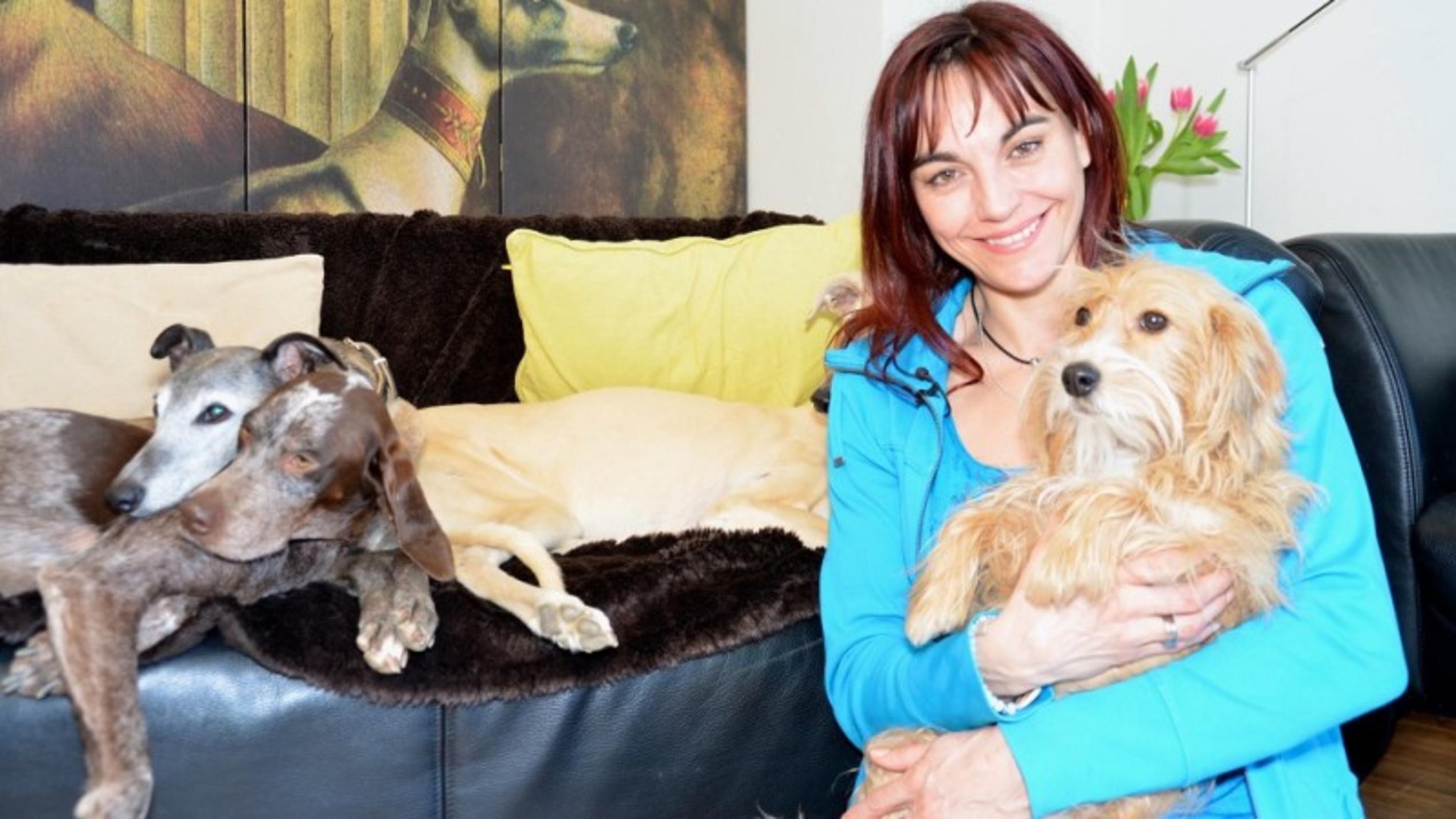 10 Mythen über den besten Freund des Menschen hundkatzemaus Hunde-Mythen