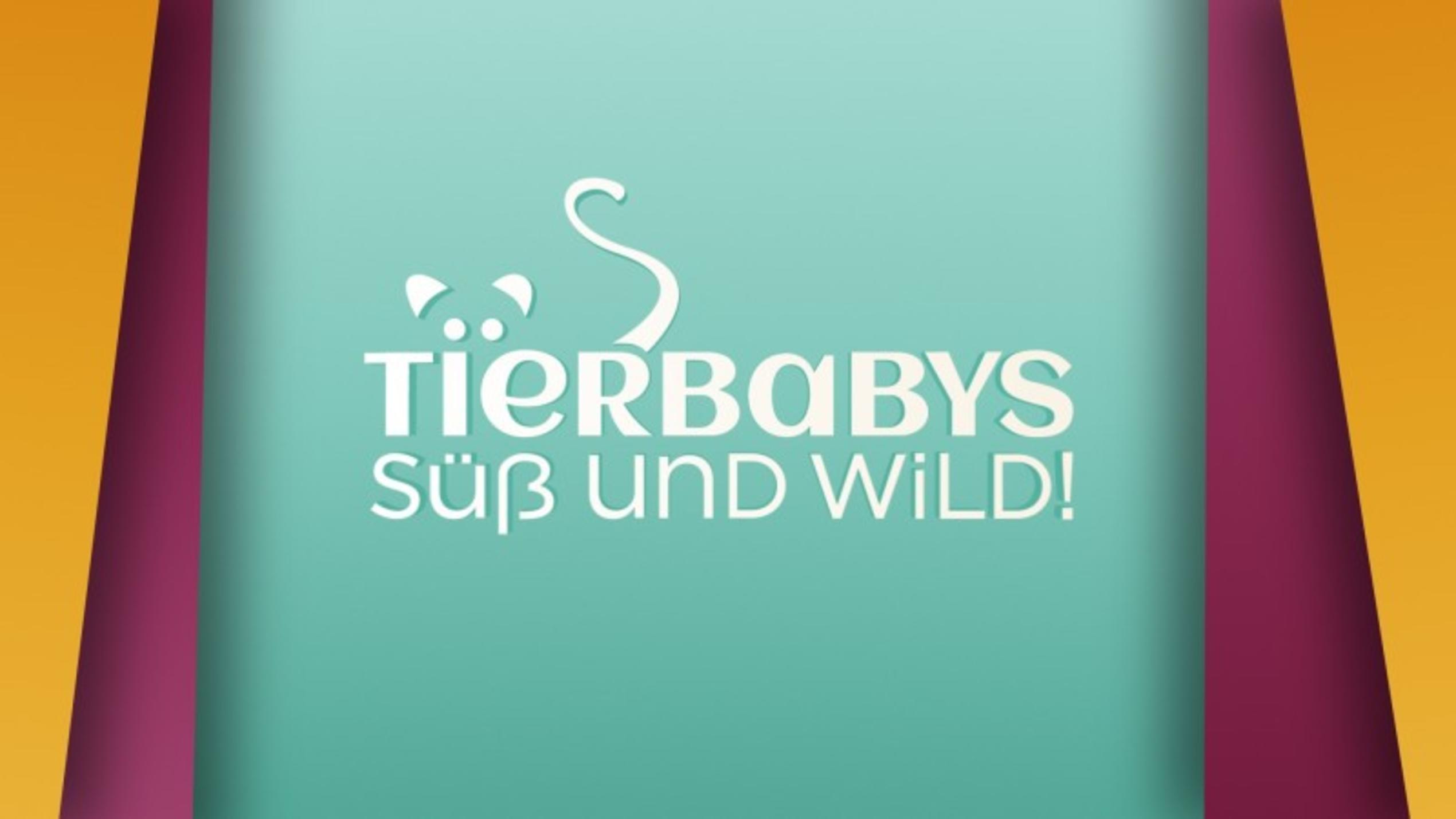 „Tierbabys – süß und wild!“ Logo zur Sendung © VOX