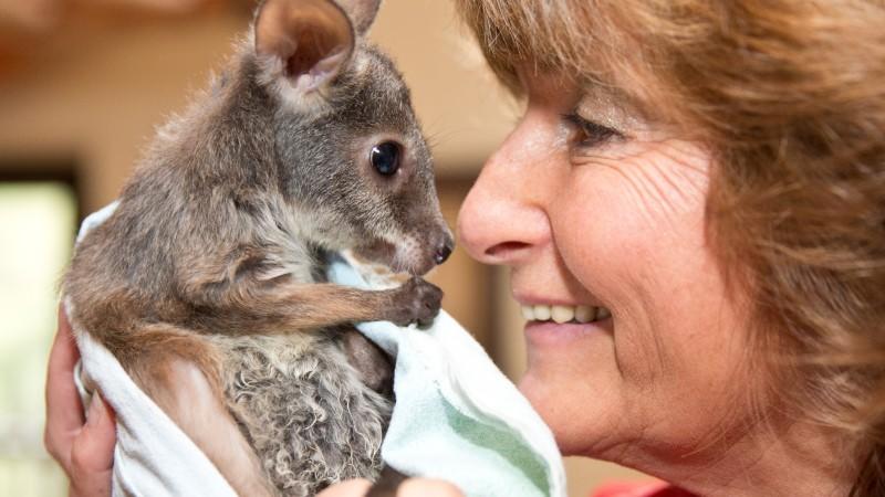 „Tierbabys – süß und wild!“ Biga Kruse mit Kängurubaby E.T. © VOX/fandango