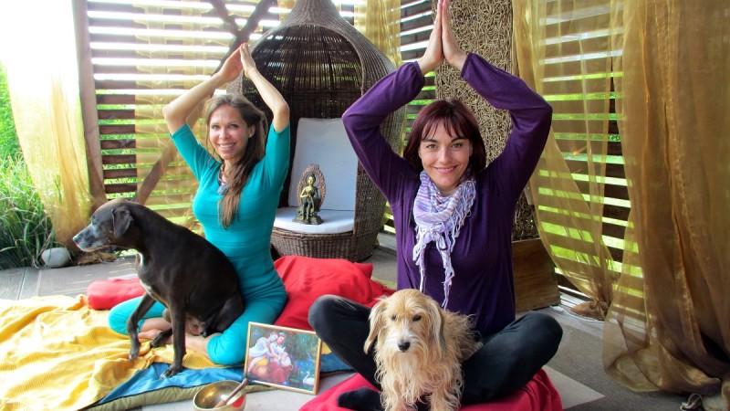 Diana Eichhorn und Klein Maggie probieren Doga-Übungen aus hundkatzemaus: Doga - Yoga mit dem Hund