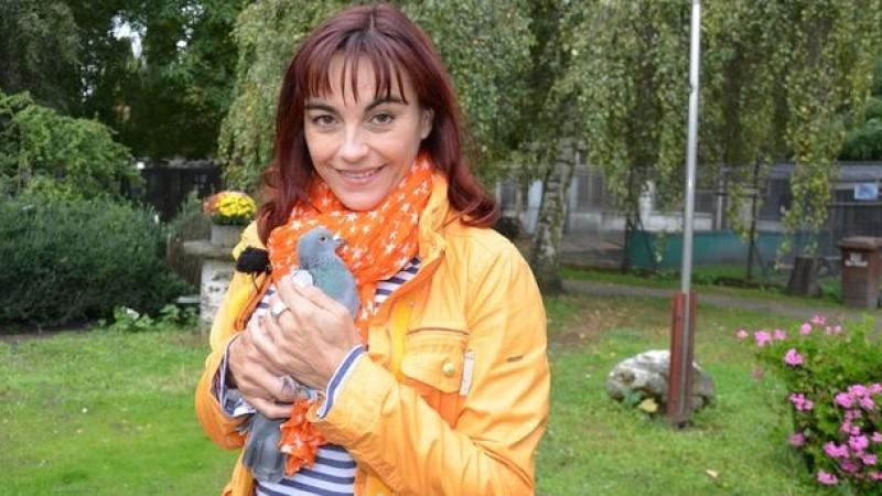 Diana Eichhorn trifft sich mit einer Taubenschützerin hundkatzemaus: Stadttauben - Ratten der Lüfte?